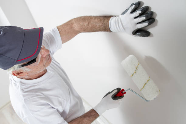  Laredo, TX Mold Removal Pros