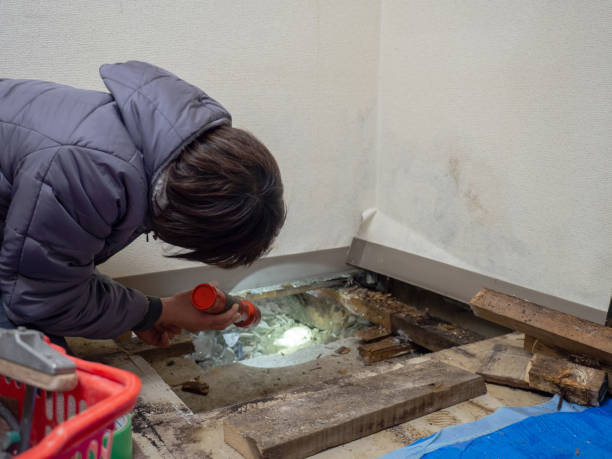 Best Industrial Mold Remediation  in Laredo, TX