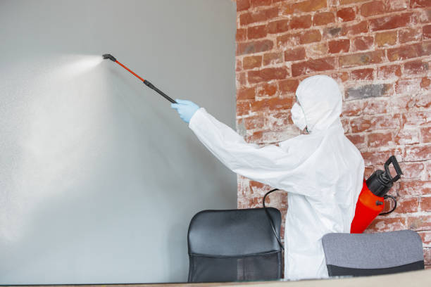 Best HVAC Mold Inspection and Cleaning  in Laredo, TX