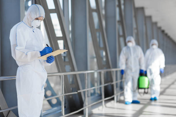 Best Black Mold Removal  in Laredo, TX