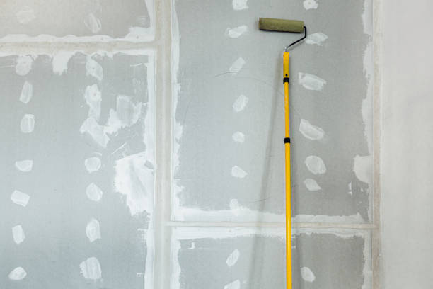 Best Post-Construction Mold Inspection  in Laredo, TX