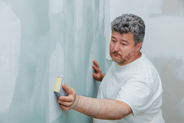 Best Water Damage & Mold Remediation  in Laredo, TX