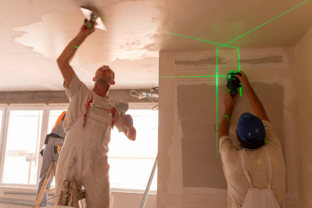 Best Crawl Space Mold Remediation  in Laredo, TX