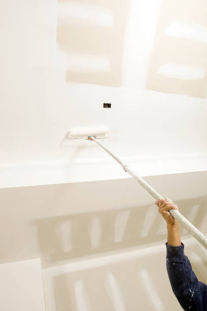 Best Comprehensive Air Testing for Mold Contaminants  in Laredo, TX