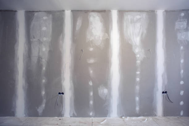 Best Mold Remediation for Healthcare Facilities  in Laredo, TX